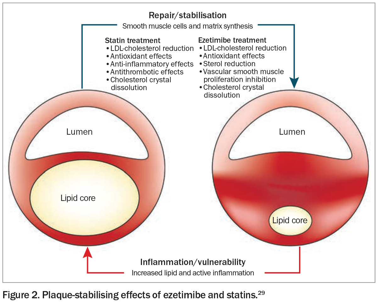 Figure 2. Figure 2.