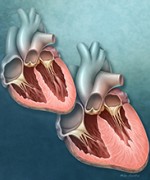 © BSIP/MEDICAL IMAGES